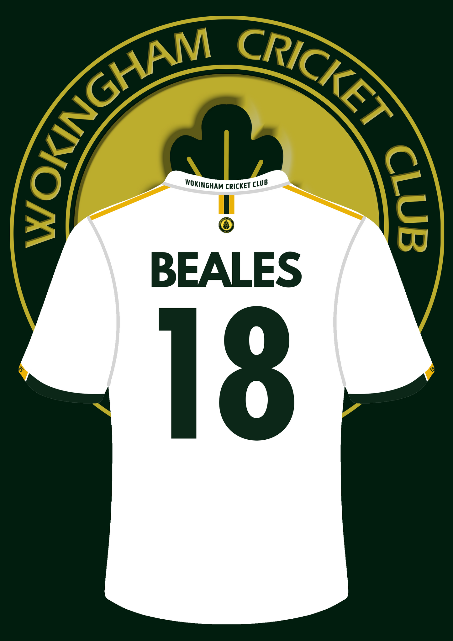 Wokingham Cricket Club Personalised A4 Shirt Print - Green or White